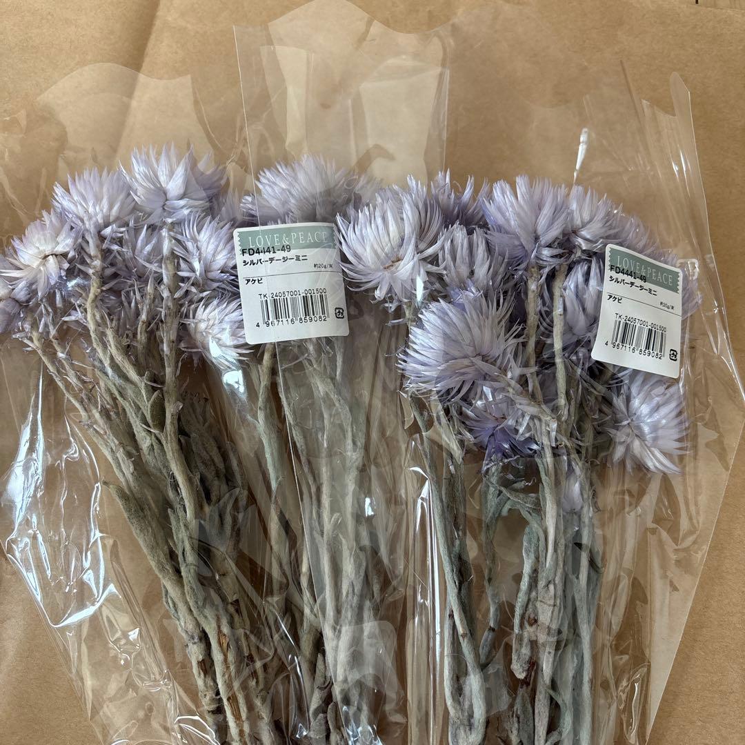 ドライフラワー花材セット