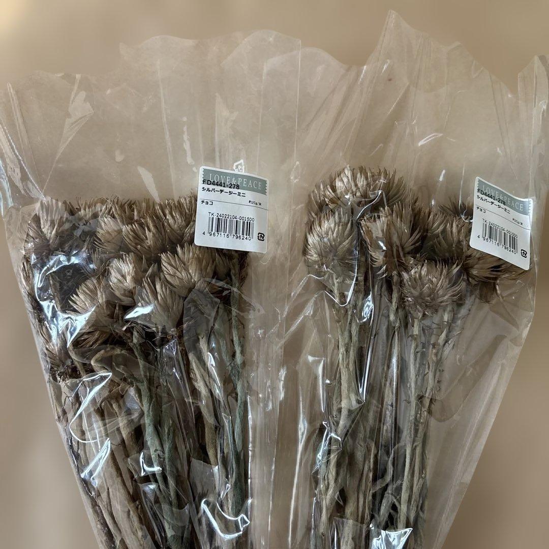 ドライフラワー花材セット