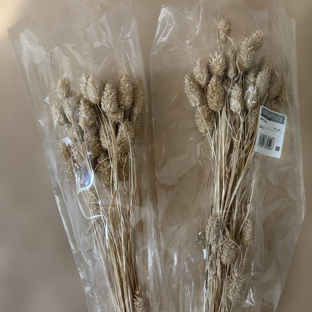 ドライフラワー花材セット