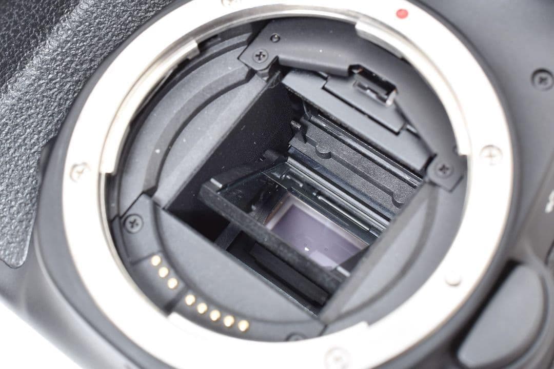 瞬間を切り抜く高速連写✨超美品✨キヤノン EOS 60D✨超望遠 ダブルレンズ