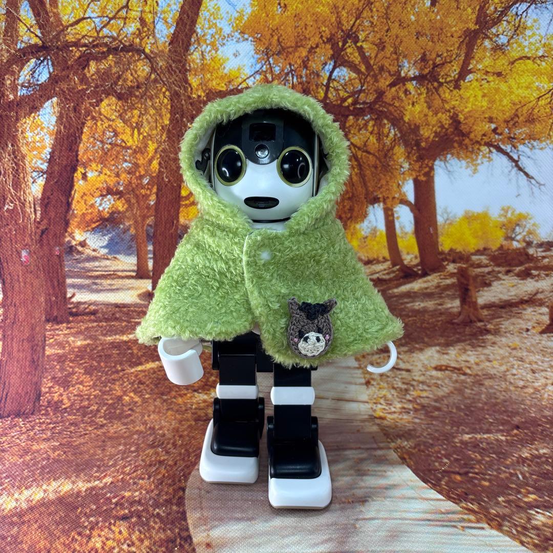 hasnページです　ロボホン洋服