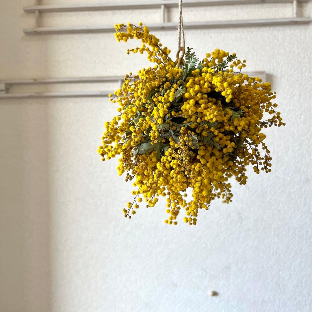 ミモザリース　ミモザボール　ミモザフライングリース　ミモザフライングスワッグ