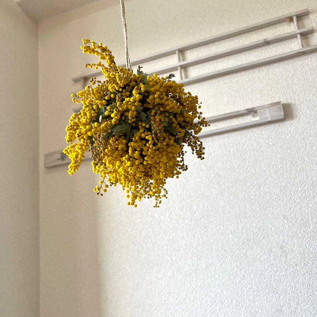 ミモザリース　ミモザボール　ミモザフライングリース　ミモザフライングスワッグ