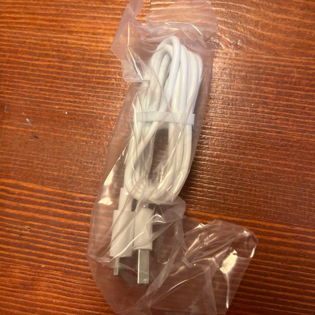 Panasonic ionboost 美顔器 ホワイト