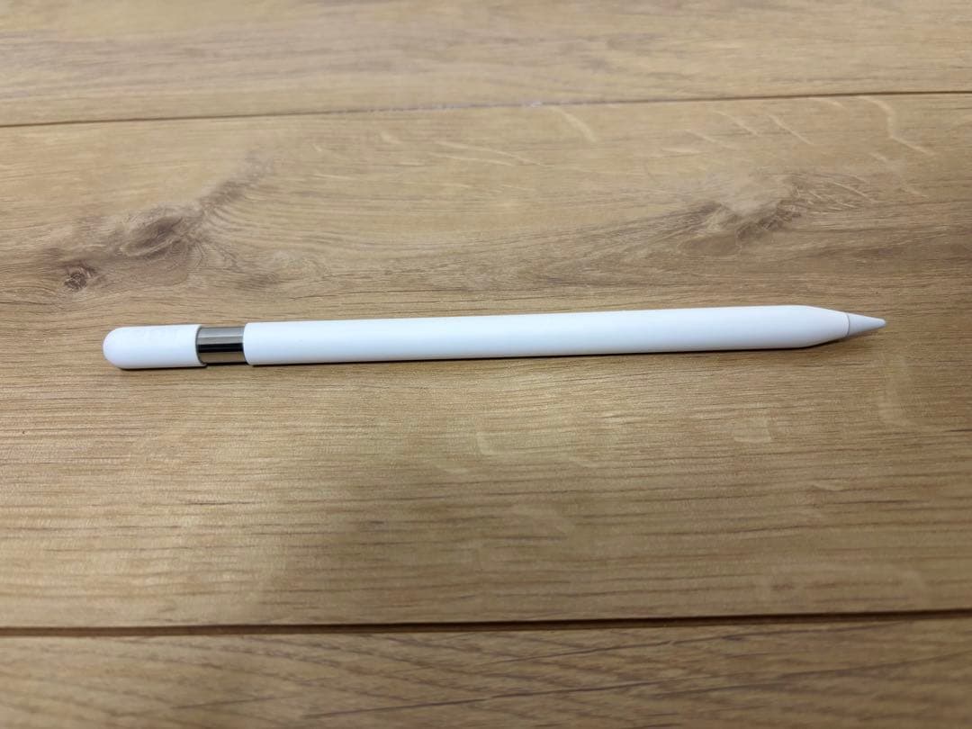 iPadアクセサリー Apple Pencil(USB-C)