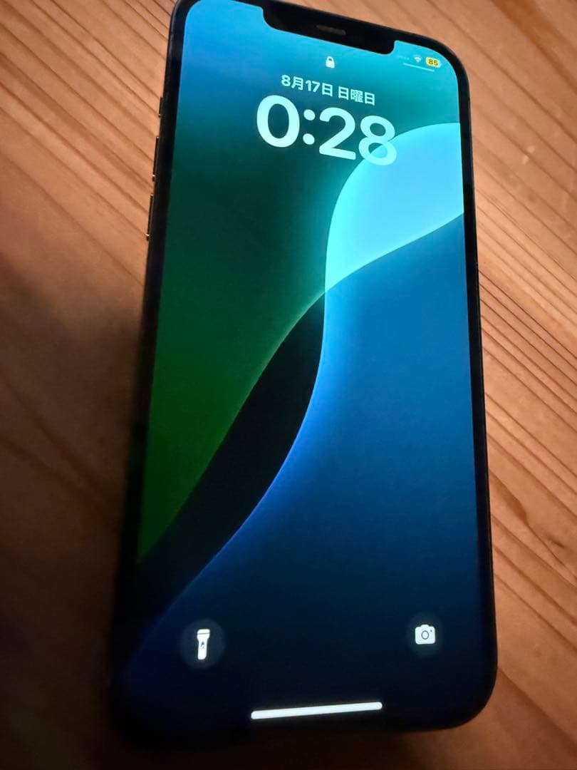 Apple iPhone 12 Pro Max 本体