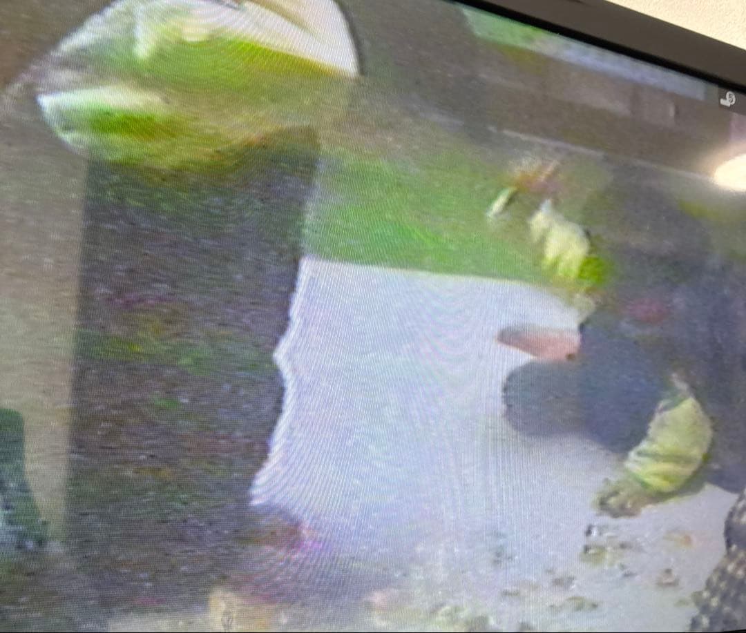 Panasonic DVDレコーダー DMR-ES30V