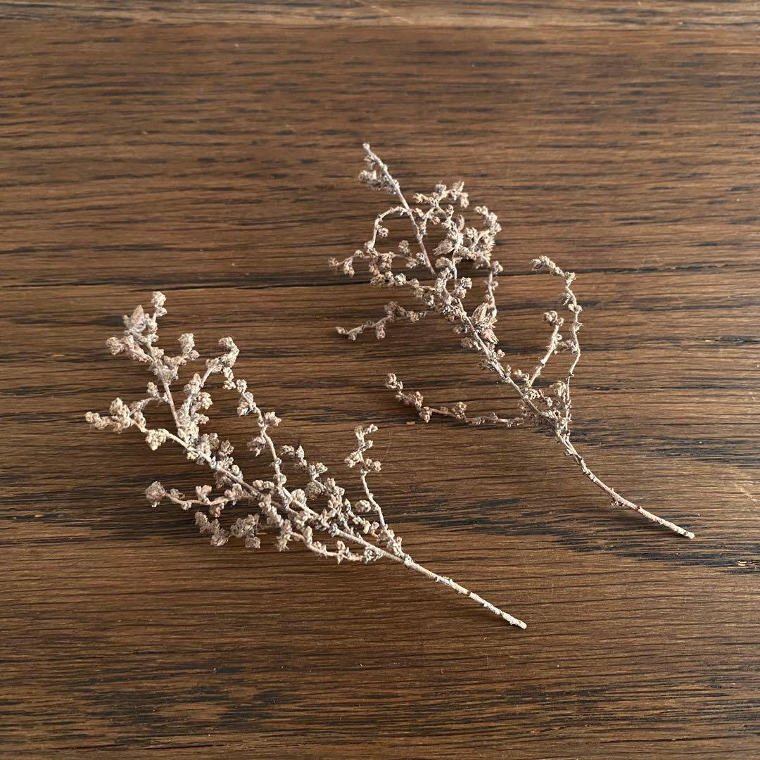 苔むす木工　オブジェ　シカ