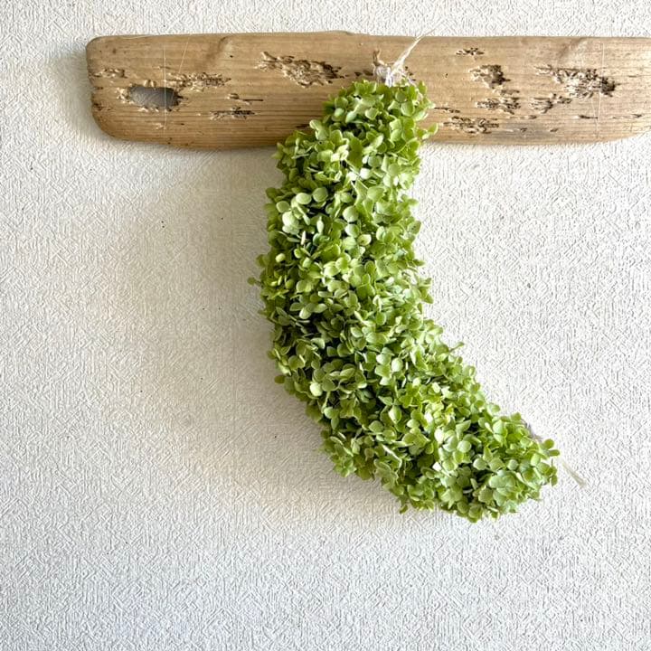 アナベル紫陽花　三日月リース