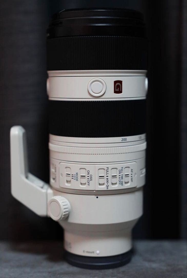 「鹿島馬様 」専用SONY FE 70-200mm F2.8 GM OSS II