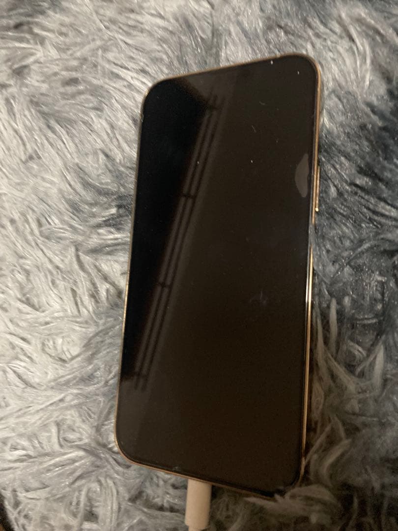 本日限定価格 iPhone13 PRO MAX