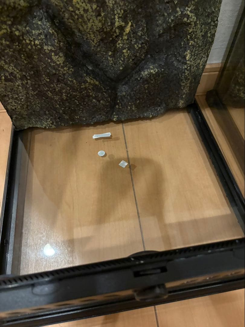 直接引き取り　GEX ジェックス　エキゾテラ　グラステラリウム　3045