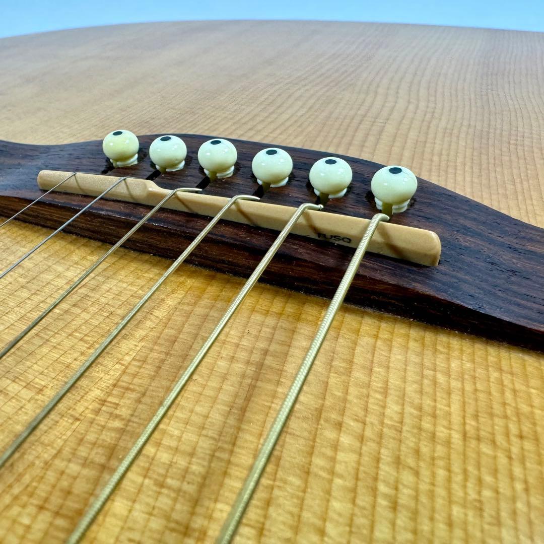 【訳あり】 Seagull シーガル AT SG T35 エレアコ アコギ