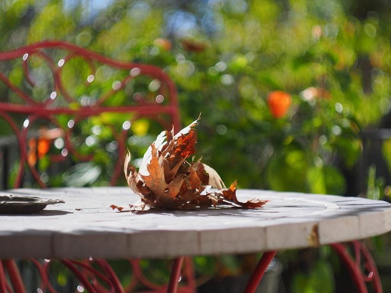 18　未使用　ぐるぐるボケレンズ　 ヘリオス　44-2　M42