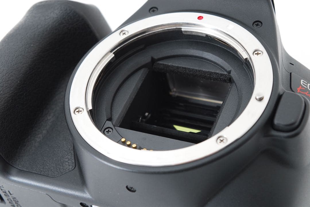 キャノン☆Canon EOS Kiss X10☆標準&望遠ダブルレンズセット