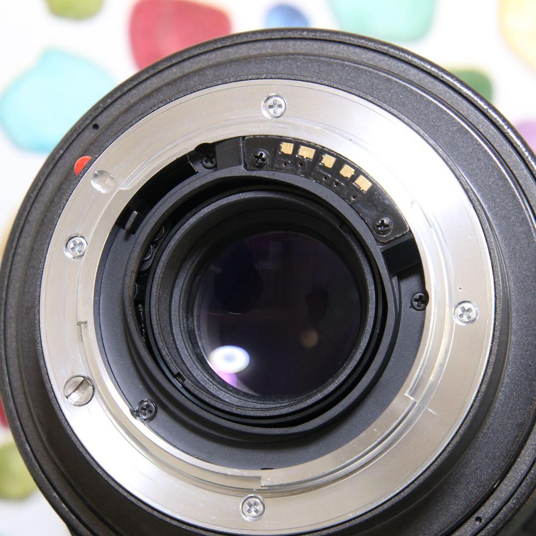 ♥︎◇高性能望遠レンズ♪ ◇TAMRON 200-400ｍｍ SONY