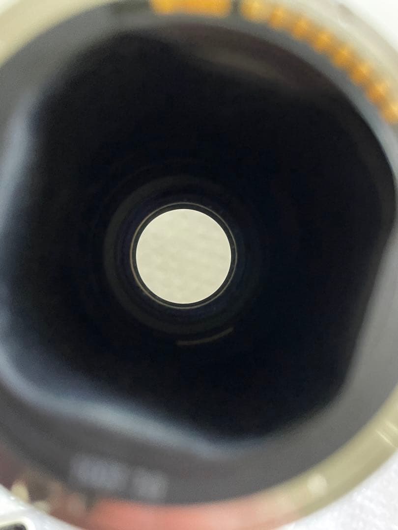 Canon EF 300mm F4 L USM キヤノン望遠レンズ EFマウント