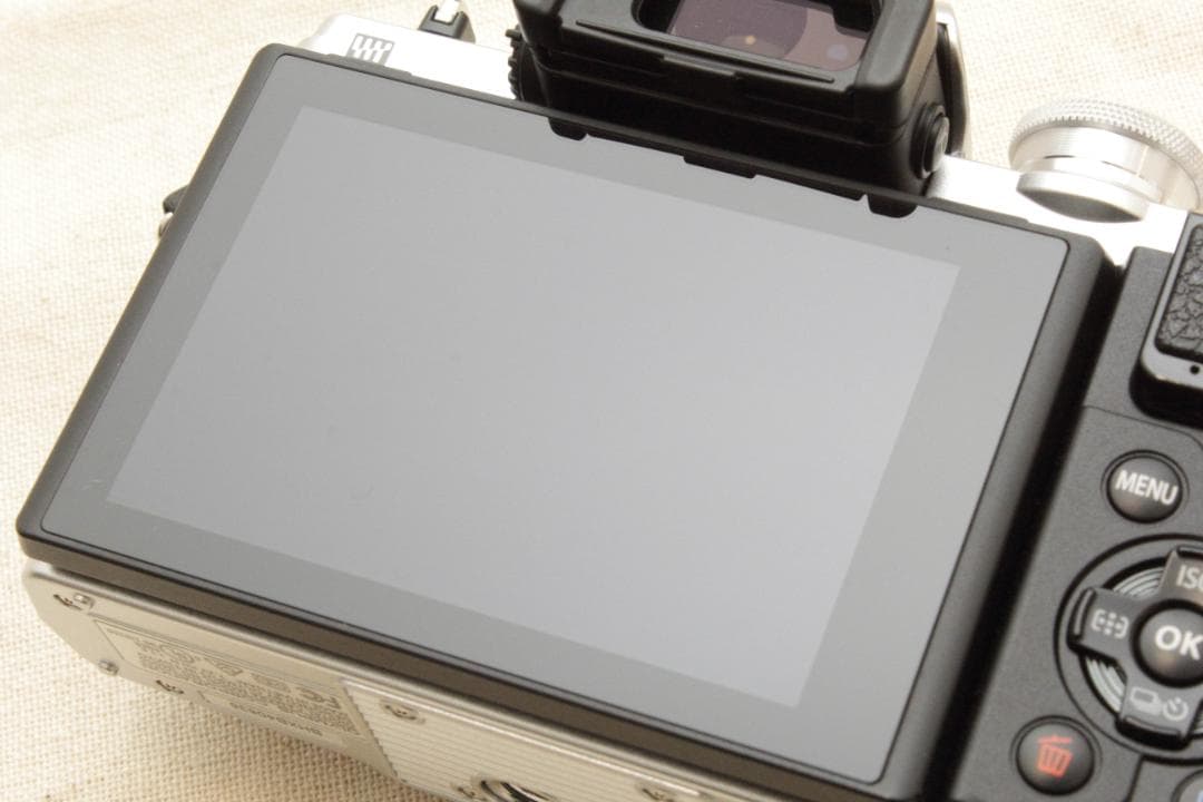 新品級！OLYMPUS OM-D E-M10 Mark III ダブルズ―ム