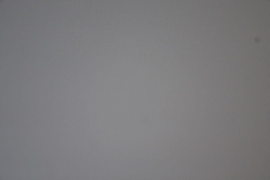 Canon PowerShot G9 X MARKⅡ