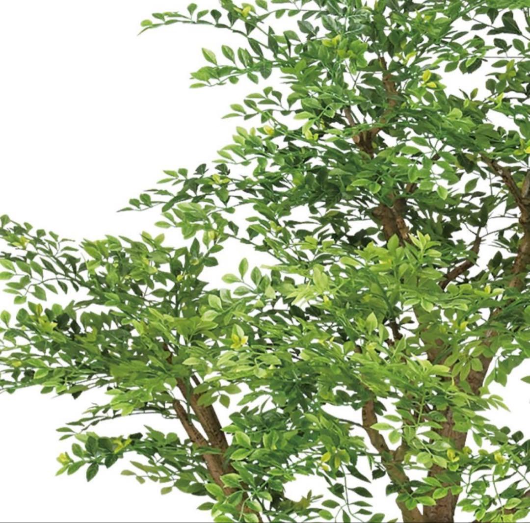 光触媒　人工観葉植物　フェイクグリーン　ゴールデンリーフコアッド