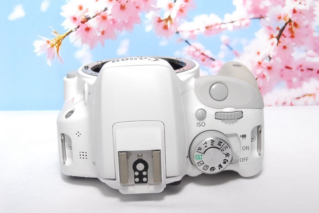 レンズ2本付き❤️Canon Kiss X7❤️ホワイト❤️ダブルレンズキット