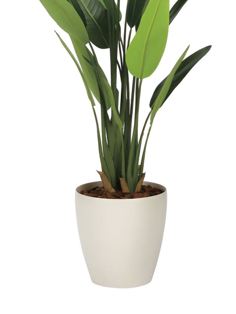 光触媒　人工観葉植物　フェイクグリーンフレッシュトラベラーズパーム1.55m