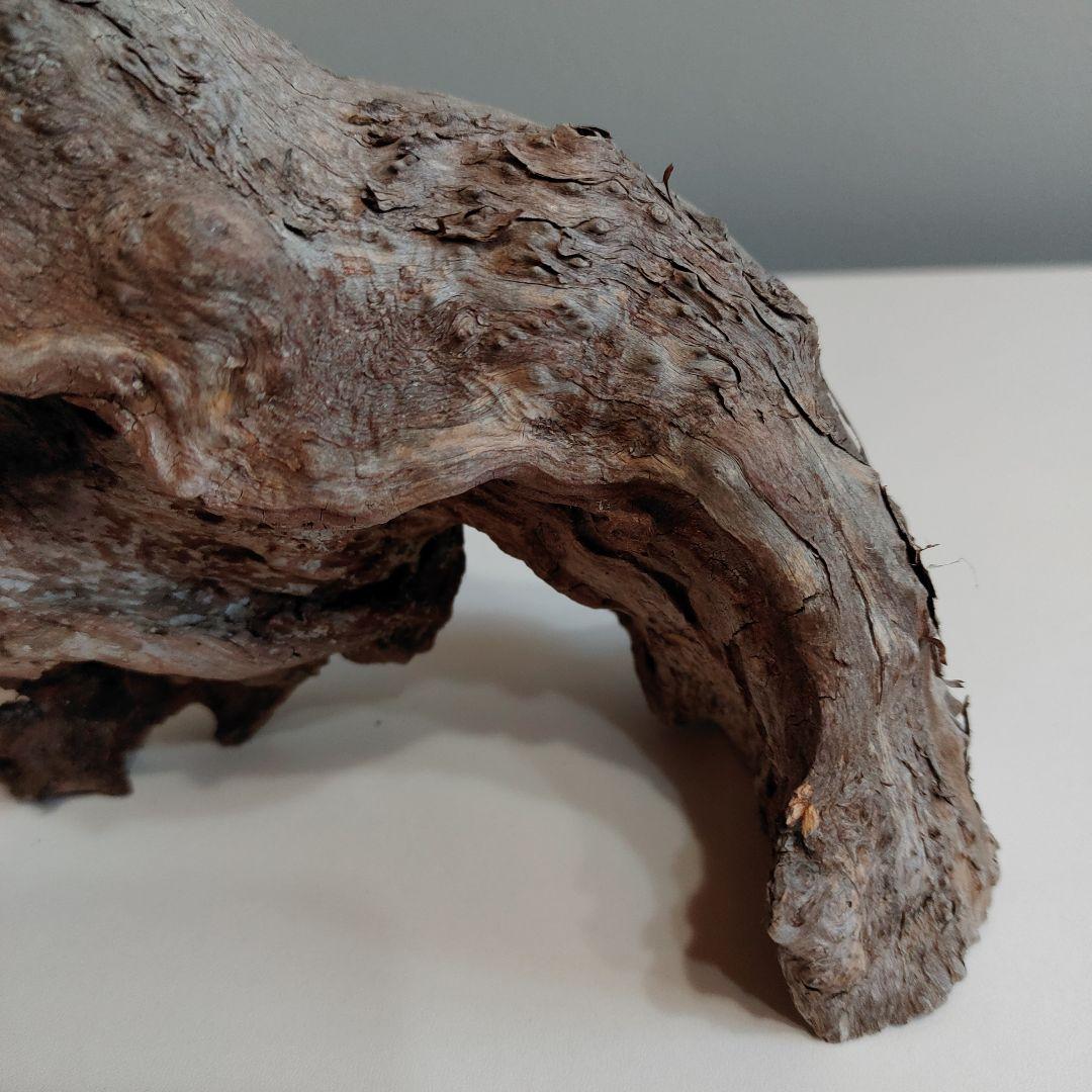ホーンウッド アクアリウム 爬虫類 登り木 流木 w22×d12×h27