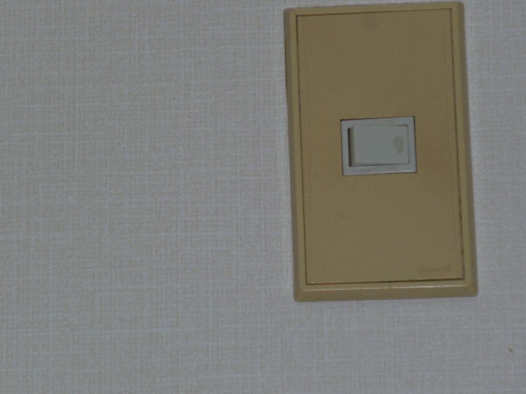 ◆スマホ転送OK◆パナソニックLUMIX DMC-ZX1 SDカード付き