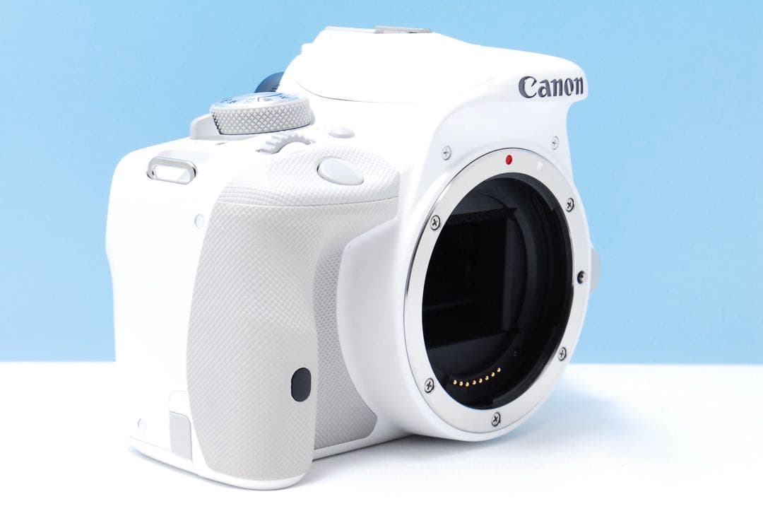 【ショット数少ない】Canon Kiss x7 ホワイト 手ぶれ補正 初心者
