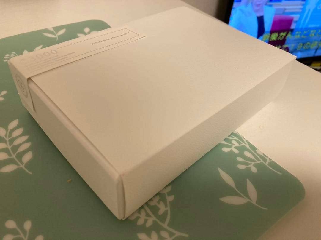 final S3000 リケーブル可能イヤホン