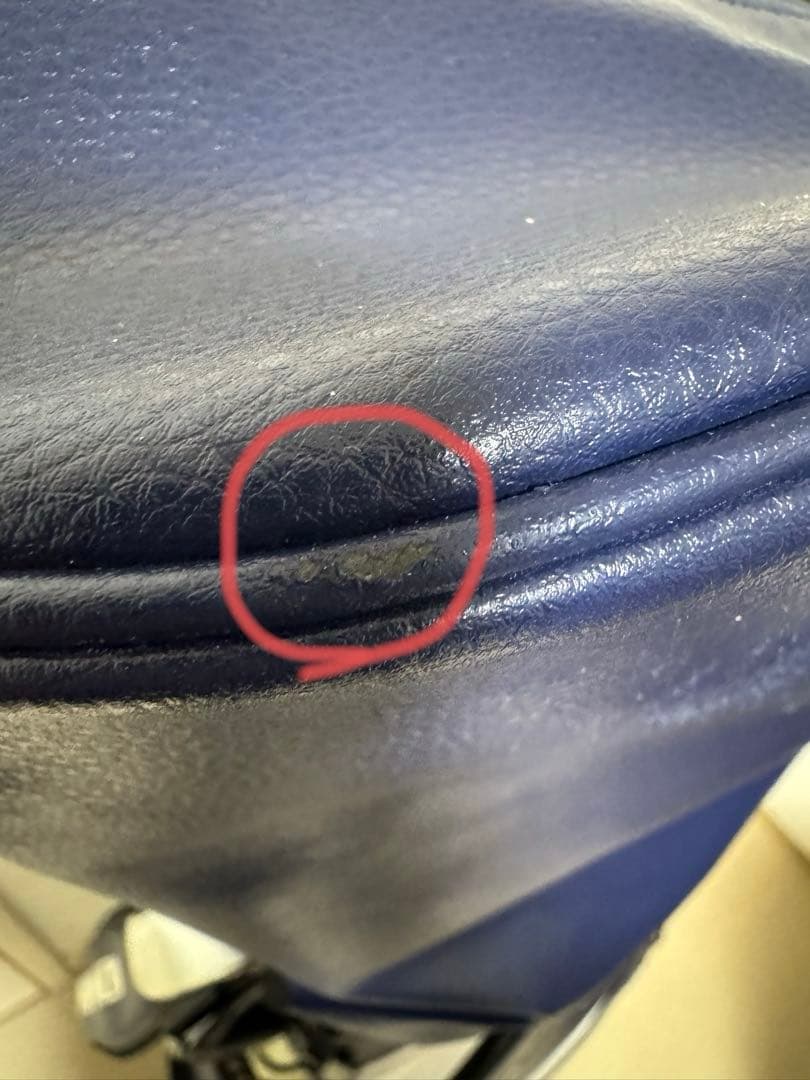 オークリー スカル キャディバッグ(9.5型)