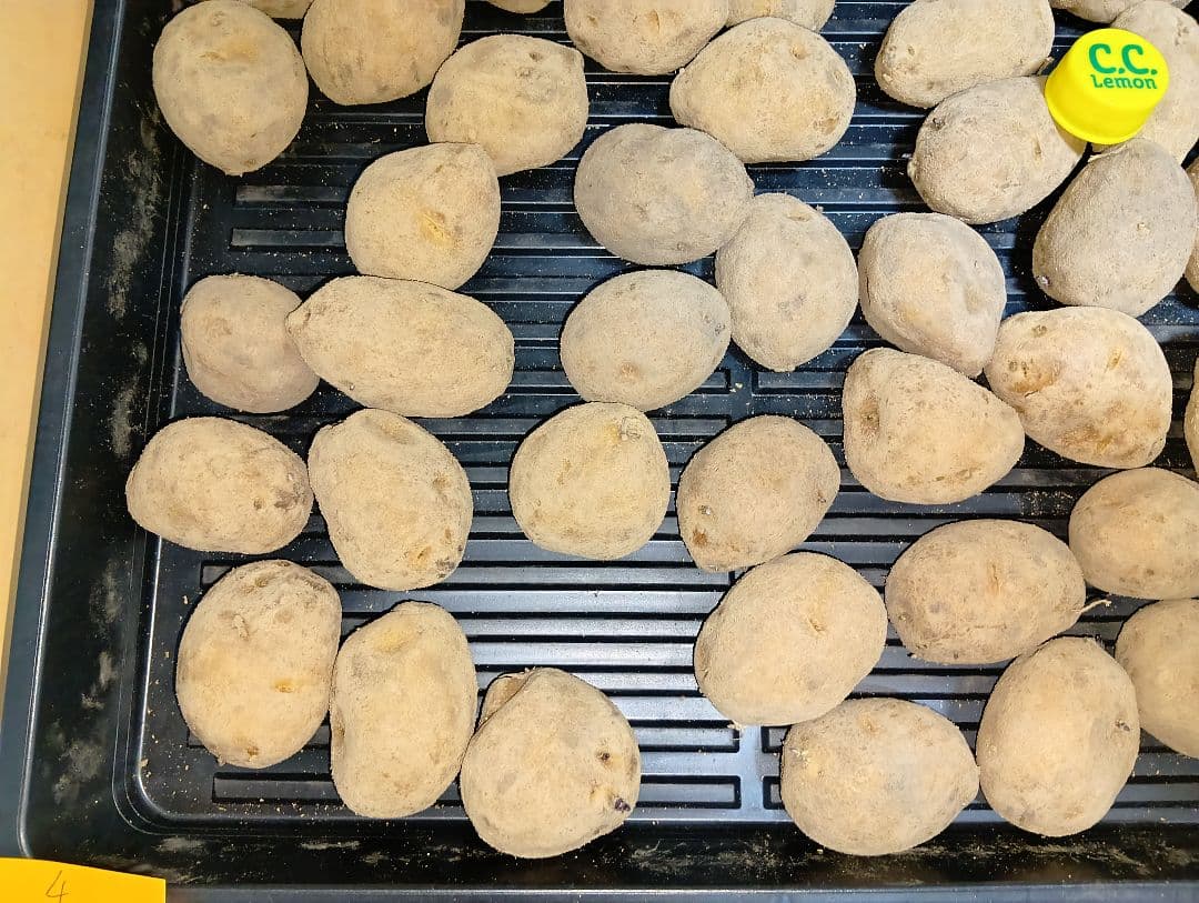 10kg m207 インカのめざめ 種芋