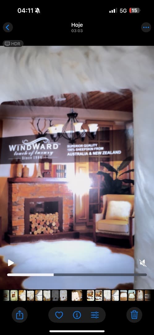 特大 ウィンドワード ラムスキンラグ 8匹物 WINDWARD コストコ 絨毯