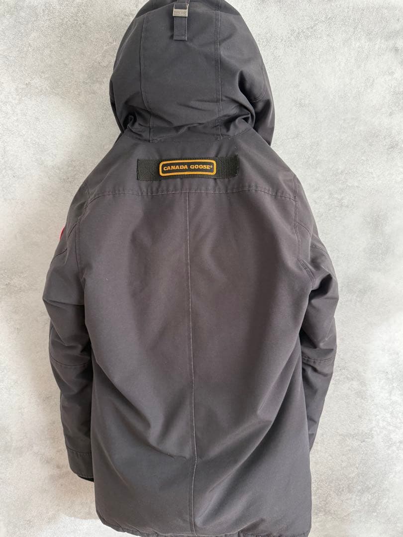 【うずら】  jasper カナダグース ジャスパー