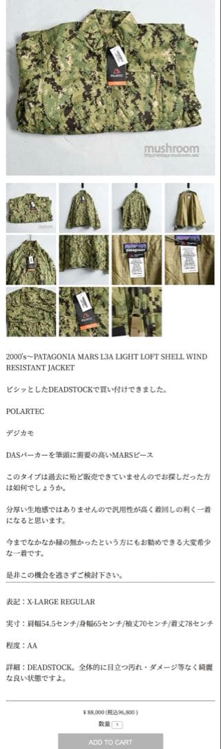 Patagonia Mars 3A POLARTEC 黒　中綿　foremost