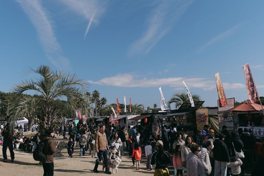 LUMIX S5 II ミラーレスカメラ 本体