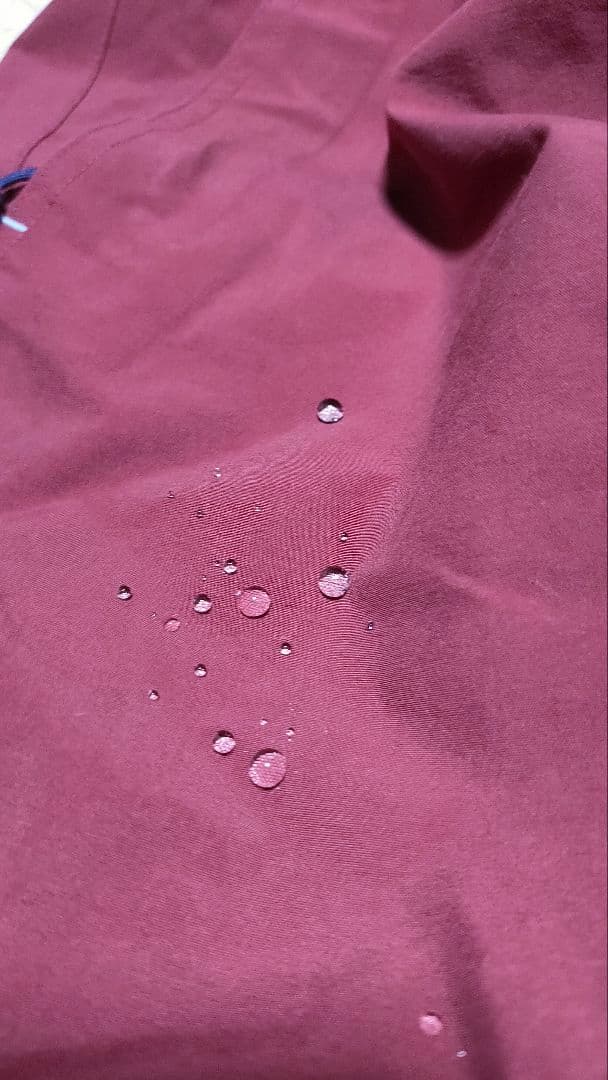 ☃︎GORE-TEX☃︎【REW アールイーダブリュー】スノーボードウェアパンツ