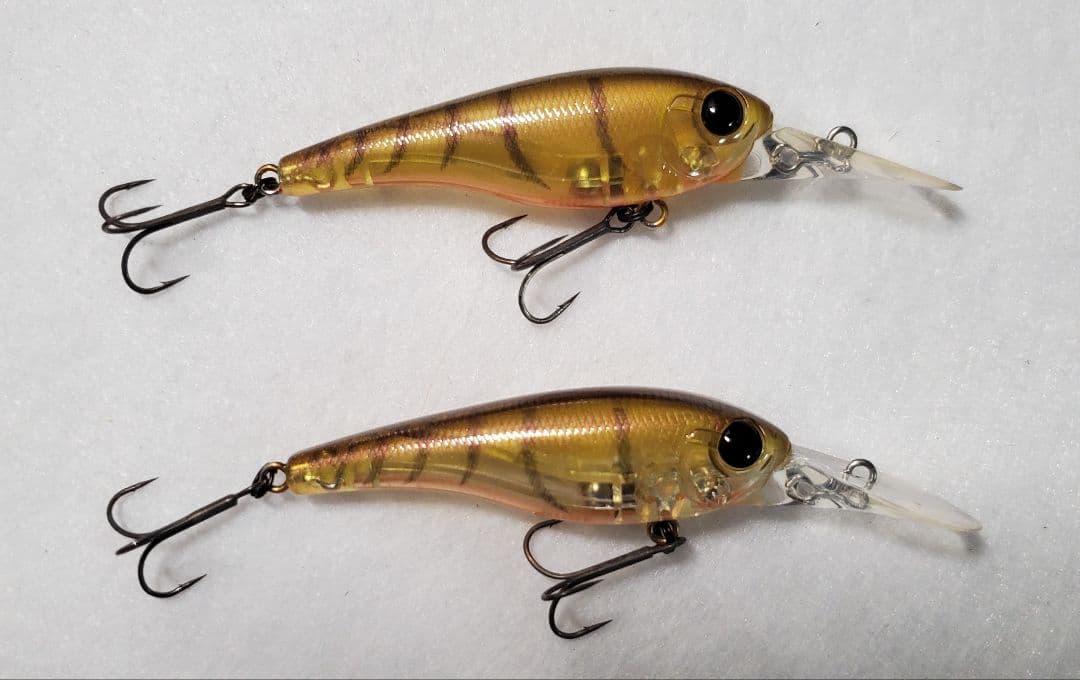 クオン　フローシャッド　セット