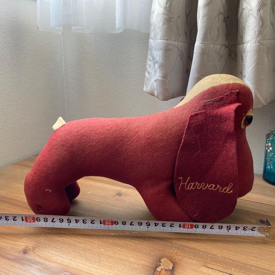 ダックスフンド　ハーバード大学　カレッジドール　カレッジマスコット　ぬいぐるみ