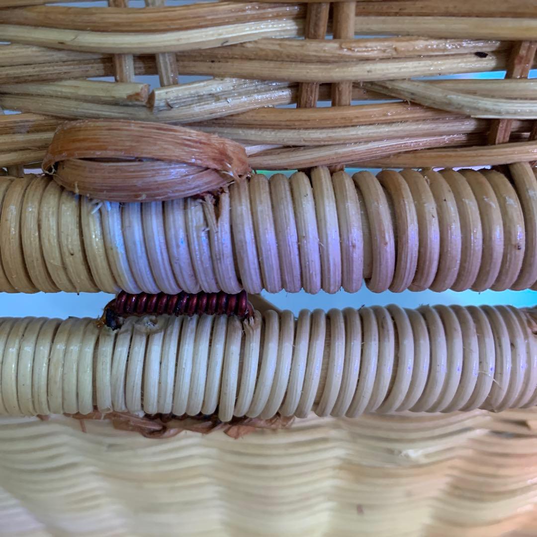 ラタン製 ペットキャリー カゴバック