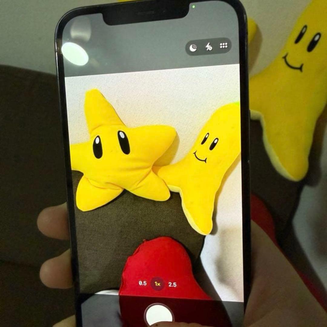 【早い者勝ち❗️】iPhone12 Pro Max 256GB❗️グラファイト❗️