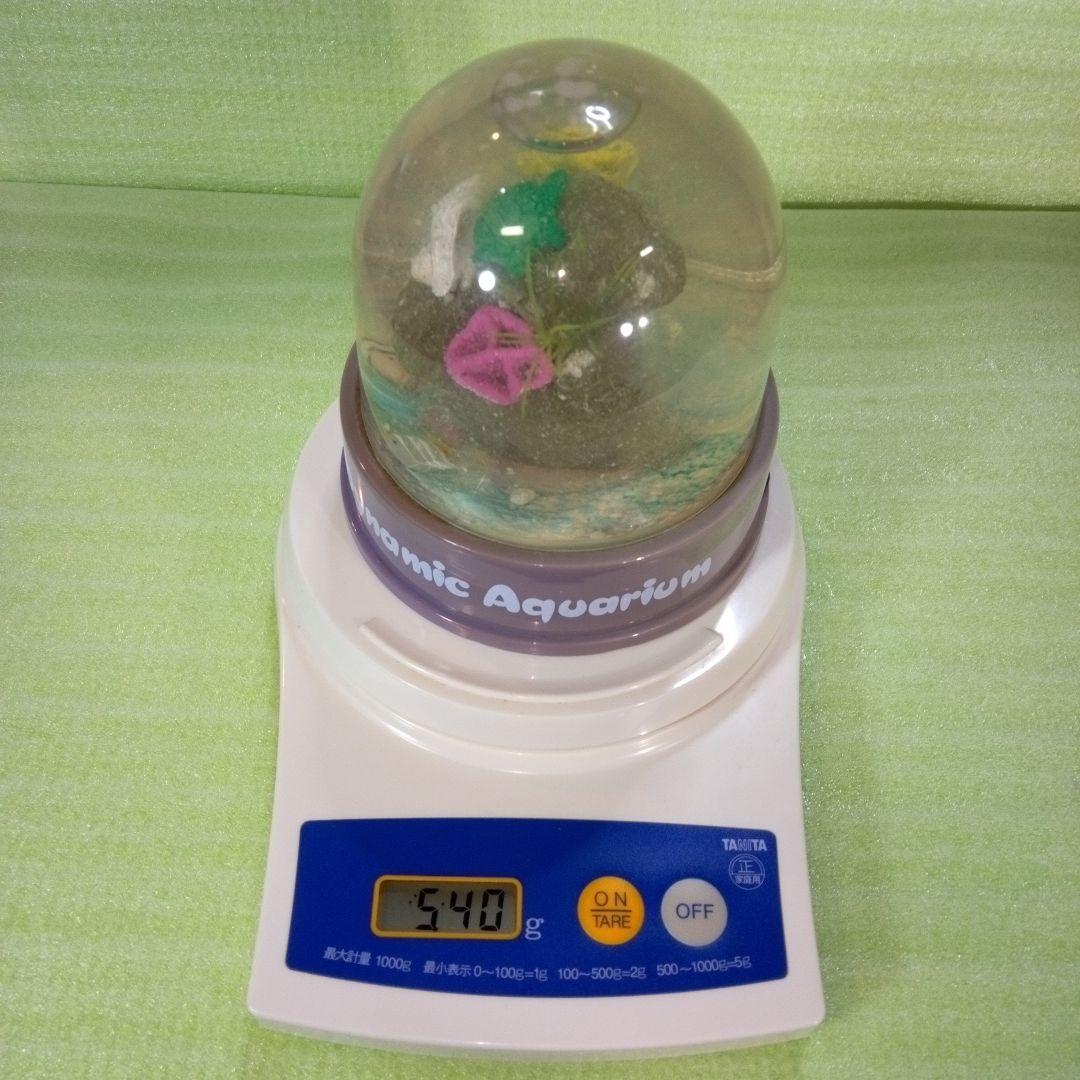 ①Dynamic Aquarium　②真珠貝　ガラスドーム　①②セット　おまとめ