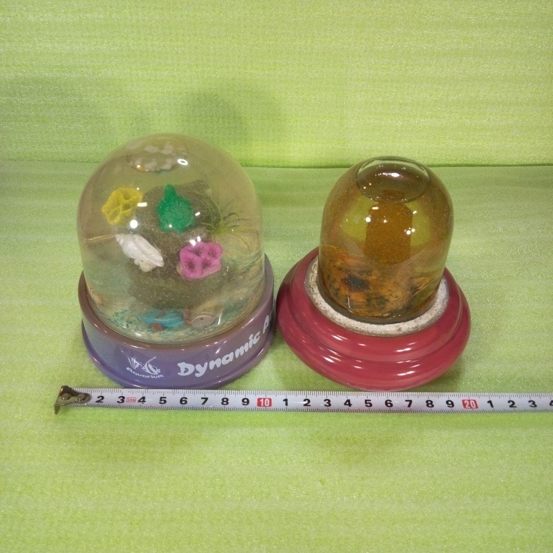 ①Dynamic Aquarium　②真珠貝　ガラスドーム　①②セット　おまとめ