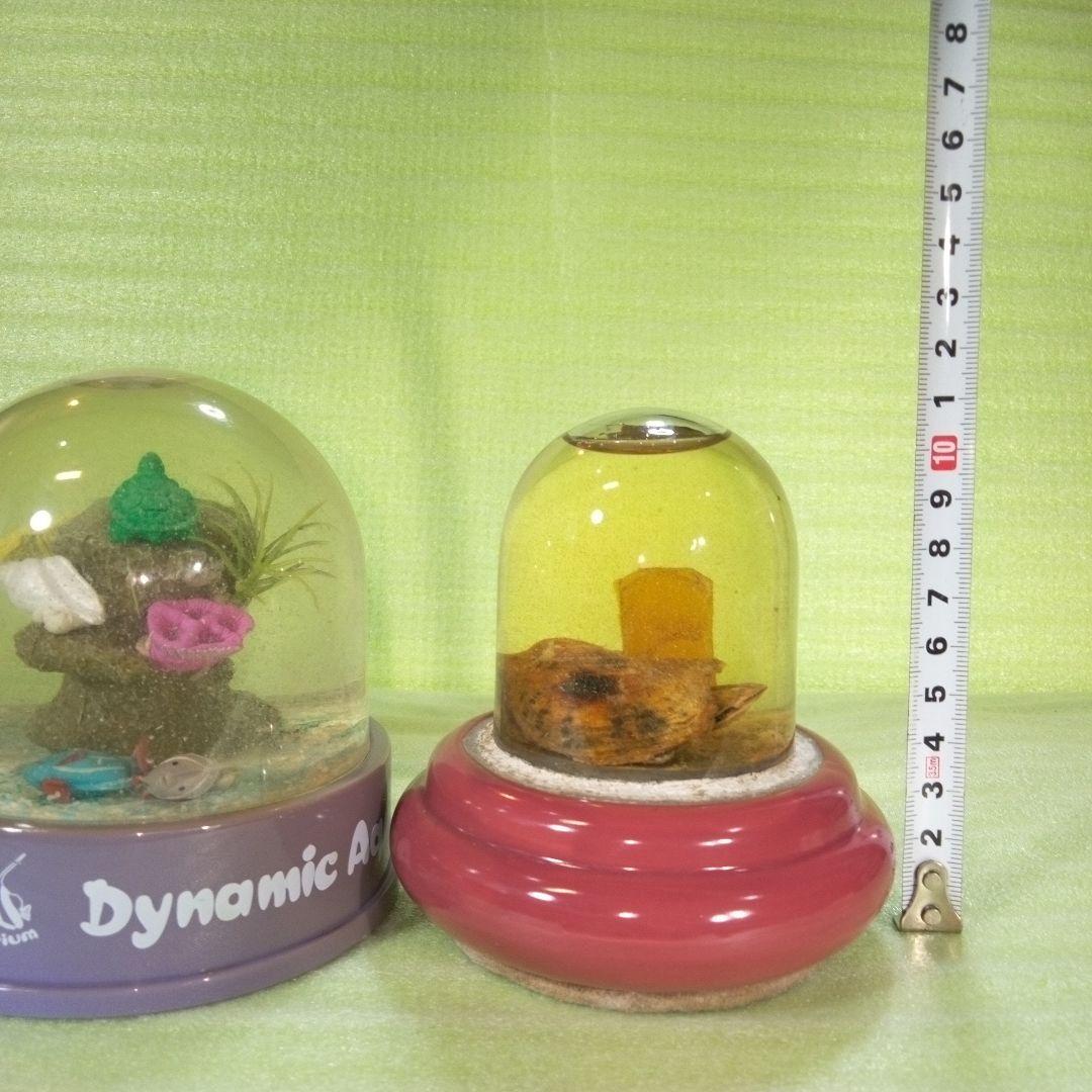 ①Dynamic Aquarium　②真珠貝　ガラスドーム　①②セット　おまとめ
