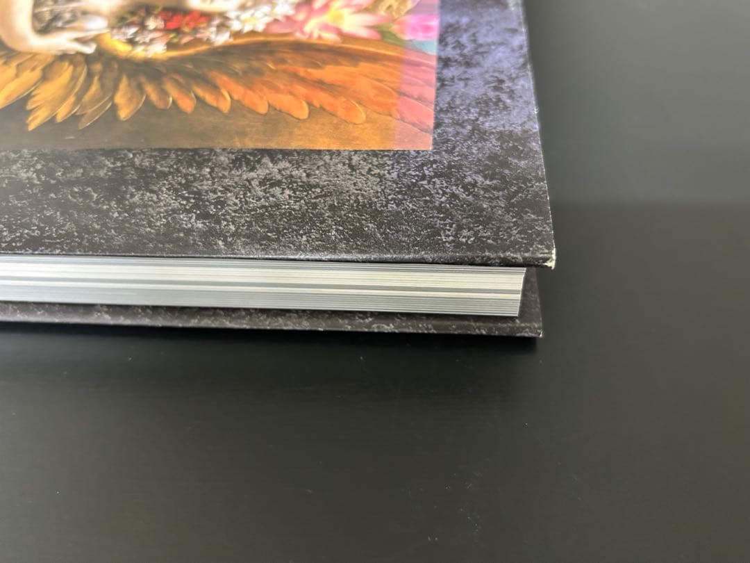 小島文美 画集 緋いユリ Santa Lilio Sangre