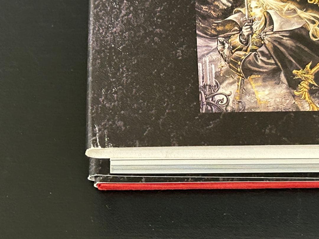 小島文美 画集 緋いユリ Santa Lilio Sangre