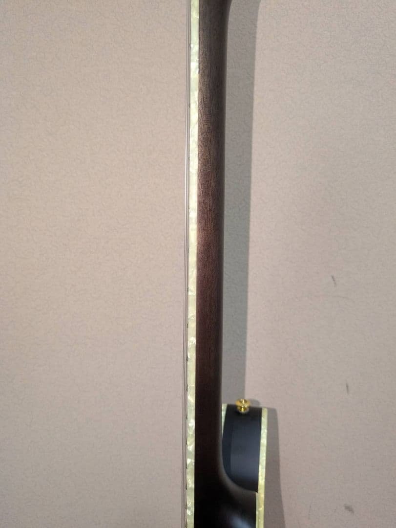 ギター ibanez TOD10N