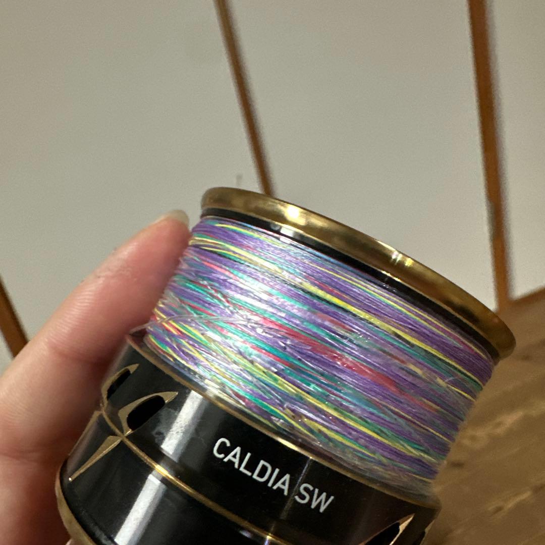 DAIWA CALDIA SW 6000D-H スピニングリール