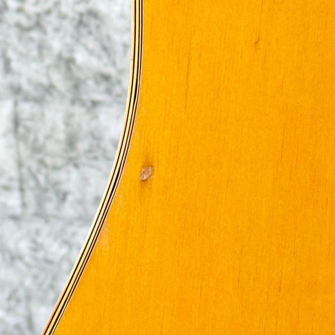 Elite by Takamine TW-25 '70年代ヴィンテージアコギ