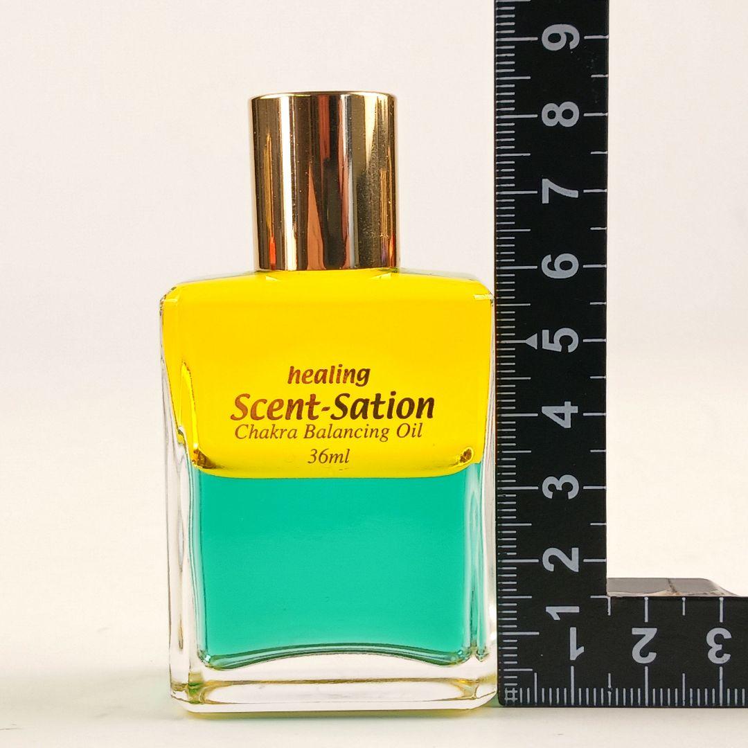 Y3214-2 センセーションビコロール カラーボトル 12本セット 36ml